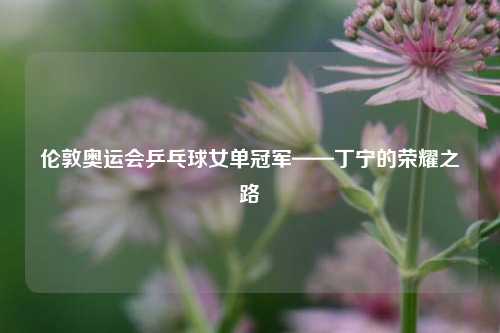 伦敦奥运会乒乓球女单冠军——丁宁的荣耀之路