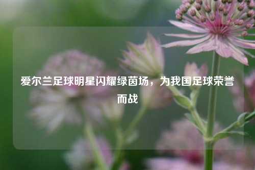 爱尔兰足球明星闪耀绿茵场，为我国足球荣誉而战