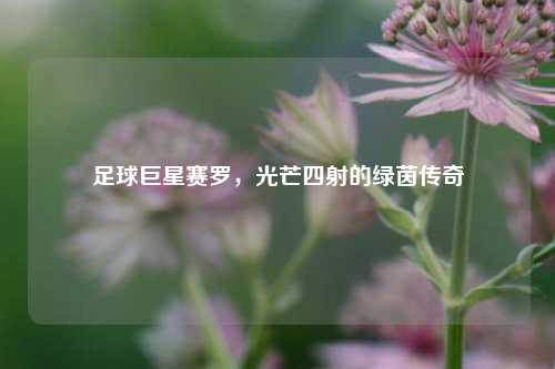 足球巨星赛罗，光芒四射的绿茵传奇