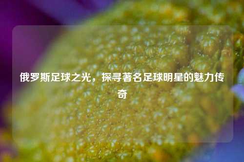 俄罗斯足球之光，探寻著名足球明星的魅力传奇