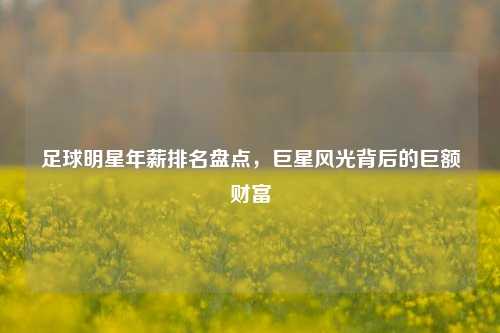 足球明星年薪排名盘点，巨星风光背后的巨额财富