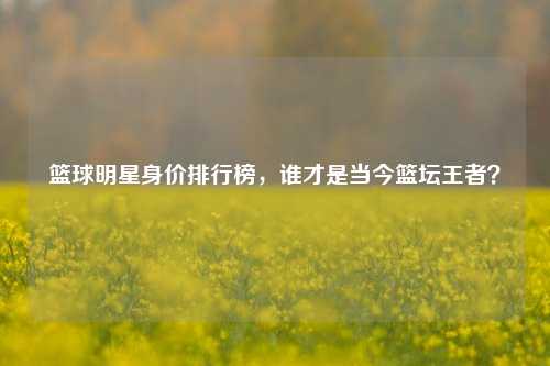 篮球明星身价排行榜，谁才是当今篮坛王者？