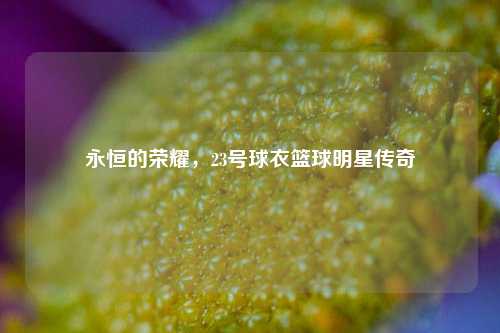 永恒的荣耀，23号球衣篮球明星传奇