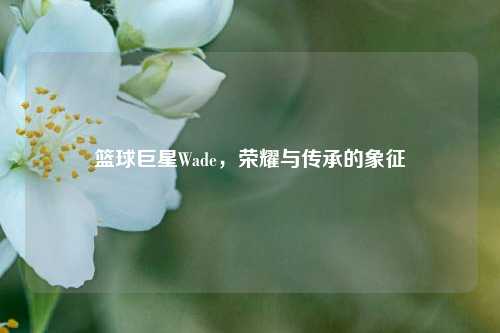 篮球巨星Wade，荣耀与传承的象征